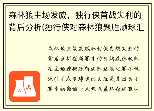 森林狼主场发威，独行侠首战失利的背后分析(独行侠对森林狼聚胜顽球汇)