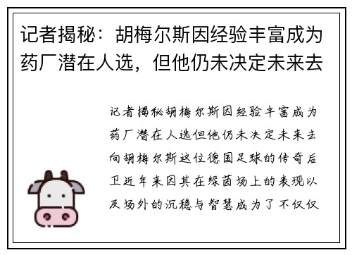 记者揭秘：胡梅尔斯因经验丰富成为药厂潜在人选，但他仍未决定未来去向