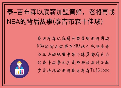 泰-吉布森以底薪加盟黄蜂，老将再战NBA的背后故事(泰吉布森十佳球)